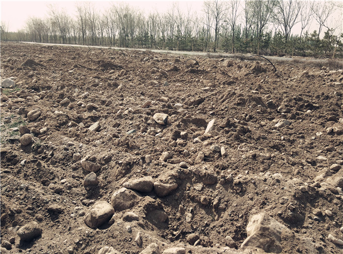 挖土机掘开地面，全是脸盆般大小的砾石