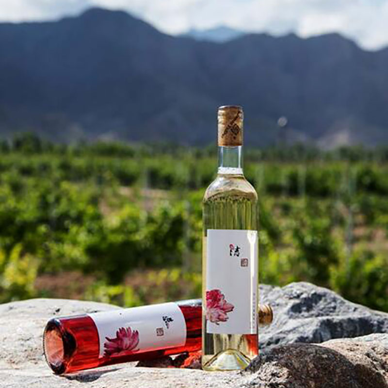 兰山玉卓 · 洁霞多丽干白葡萄酒