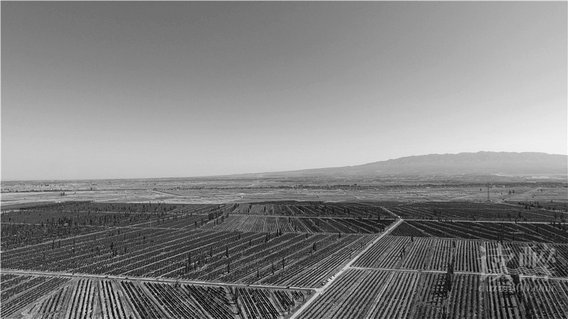 dji_0087
